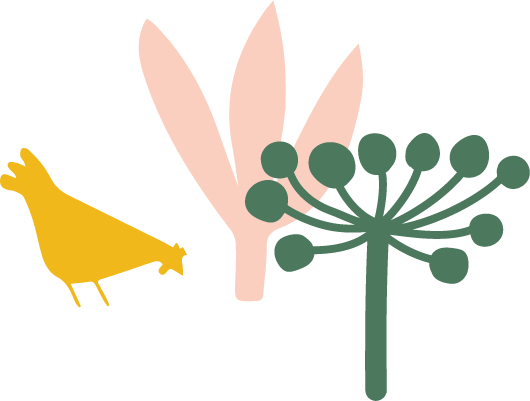 Queira Agroecologia Hospedagem