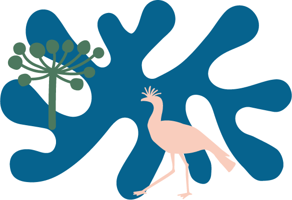 Queira Agroecologia
